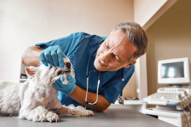 Best Emergency Dental Surgery in Charleston, MS