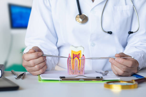 Best Emergency Wisdom Teeth Removal in Charleston, MS